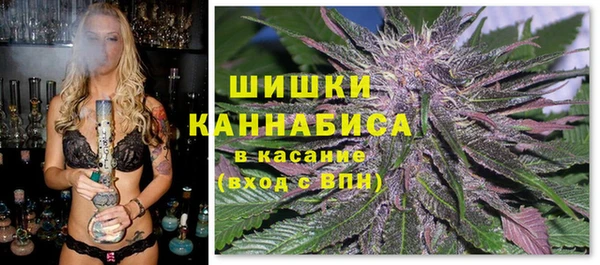 стафф Новокубанск
