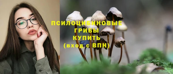 Альфа ПВП Новодвинск