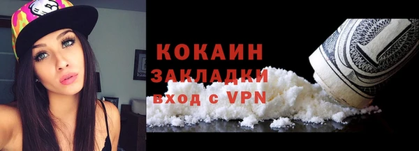 стафф Новокубанск