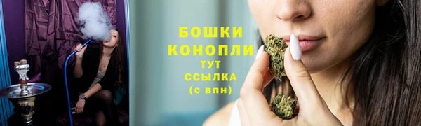 стафф Новокубанск
