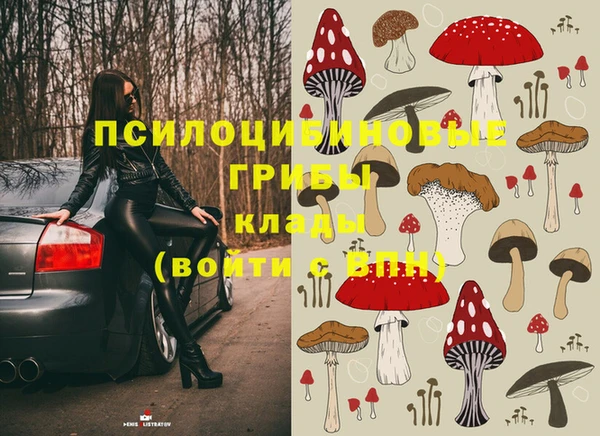 каннабис Новозыбков