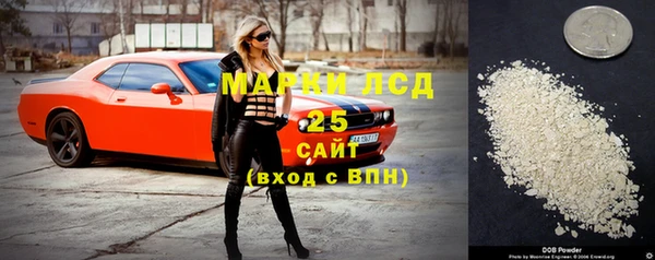 стафф Новокубанск