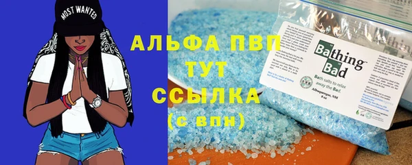 каннабис Новозыбков