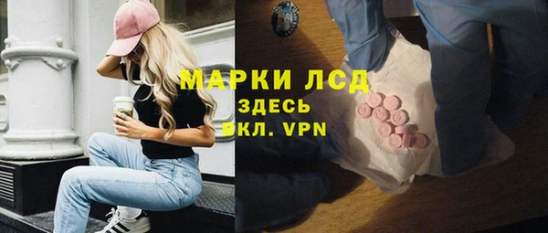 стафф Новокубанск