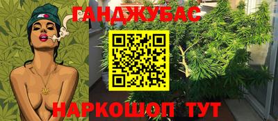 шишки Заводоуковск