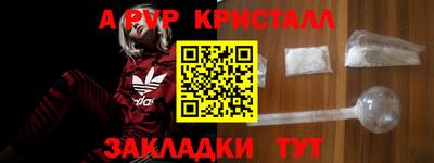 шишки Заводоуковск