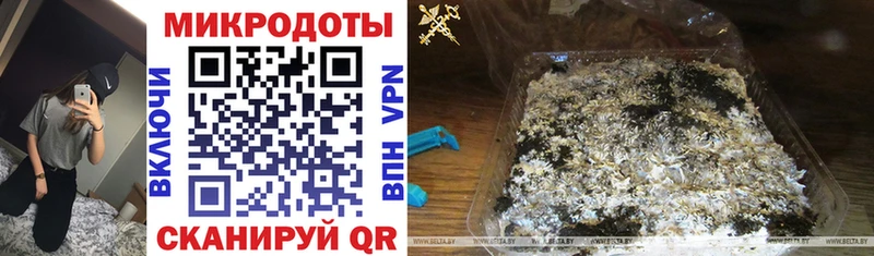Псилоцибиновые грибы GOLDEN TEACHER Тавда