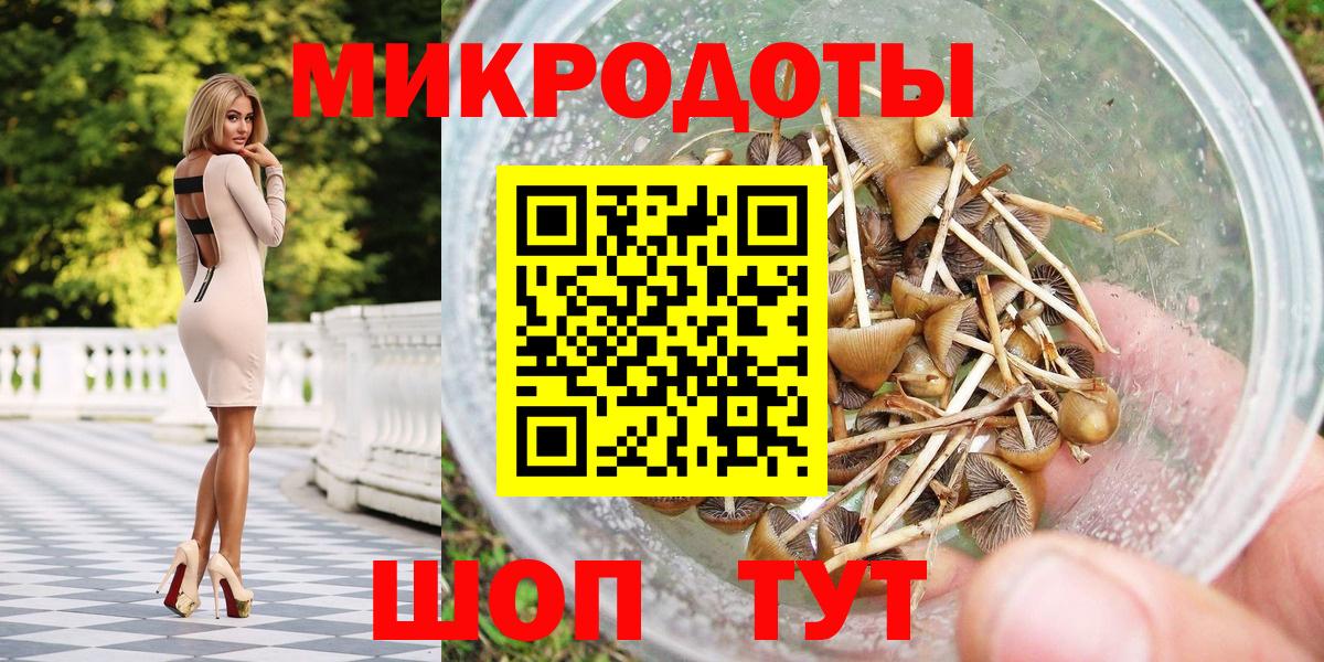 Галлюциногенные грибы Psilocybine cubensis Тавда